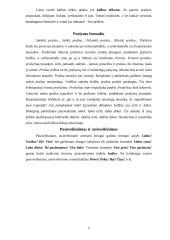 Tinkamas kalbos vartojimas 4 puslapis