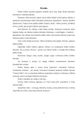 Tinkamas kalbos vartojimas 8 puslapis