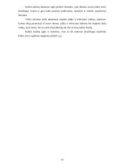 Tinkamas kalbos vartojimas 9 puslapis