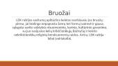 Raštija Lietuvos Didžiojoje Kunigaikštystėje 5 puslapis