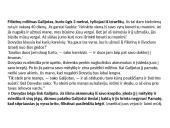 Romanika XI- XII a. pr. 18 puslapis