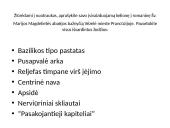 Romanika XI- XII a. pr. 9 puslapis