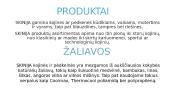 Įmonė "Skinija" 5 puslapis