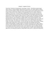 Skirgaila - tragiškasis herojus