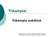 Trikampio aukštinė 