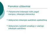 Trikampio aukštinė  2 puslapis