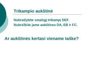 Trikampio aukštinė  11 puslapis