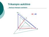 Trikampio aukštinė  12 puslapis