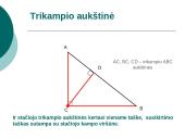 Trikampio aukštinė  13 puslapis