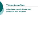 Trikampio aukštinė  14 puslapis