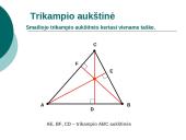 Trikampio aukštinė  6 puslapis