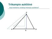 Trikampio aukštinė  7 puslapis