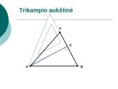 Trikampio aukštinė  8 puslapis