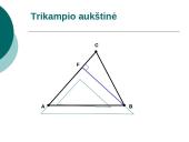 Trikampio aukštinė  9 puslapis