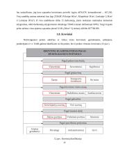 Veiklos organizavimas vystymas ir prekyba 12 puslapis