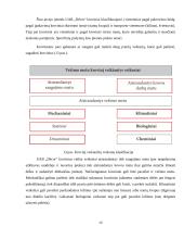 Veiklos organizavimas vystymas ir prekyba 13 puslapis