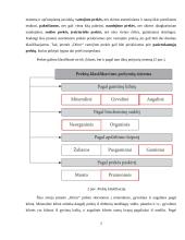 Veiklos organizavimas vystymas ir prekyba 3 puslapis
