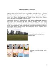 Alovės mokyklos istorija, praeitis ir dabartis 7 puslapis