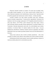 Muitinės procedūrų nagrinėjimas 1 puslapis