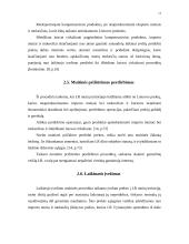Muitinės procedūrų nagrinėjimas 11 puslapis