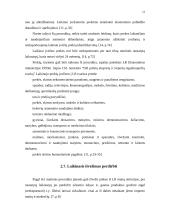 Muitinės procedūrų nagrinėjimas 12 puslapis