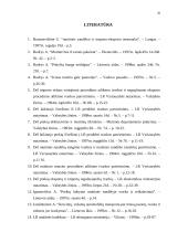 Muitinės procedūrų nagrinėjimas 20 puslapis