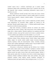 Muitinės procedūrų nagrinėjimas 8 puslapis