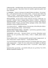 R. Granausko "Gyvenimas po klevu" pabaigos analizė ir interpretacija   4 puslapis