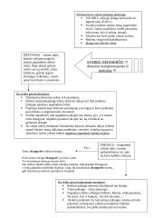 Kaip rašyti rašinį? Rašinio struktūra 2 puslapis