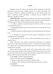 Tobula konkurencija 2 puslapis