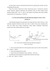 Tobula konkurencija 12 puslapis