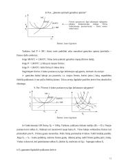 Tobula konkurencija 13 puslapis