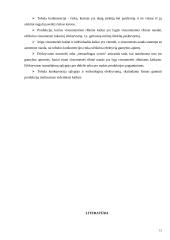 Tobula konkurencija 15 puslapis