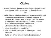 Knygos pristatymas ,,Tarp pilkų debesų" 11 puslapis