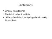 Knygos pristatymas ,,Tarp pilkų debesų" 10 puslapis