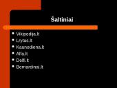Kovo 11-oji skaidrės 17 puslapis