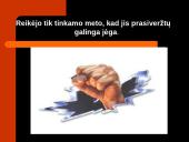 Kovo 11-oji skaidrės 5 puslapis