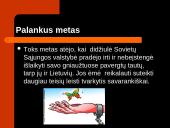 Kovo 11-oji skaidrės 6 puslapis