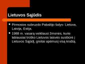 Kovo 11-oji skaidrės 7 puslapis