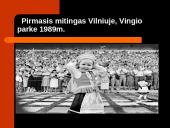 Kovo 11-oji skaidrės 9 puslapis