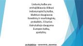 Lietuvių kalbos ryšiai su kitomis pasaulio kalbomis 4 puslapis