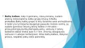Lietuvių kalbos ryšiai su kitomis pasaulio kalbomis 7 puslapis