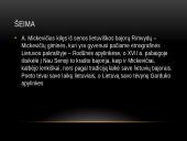 Adomas Mickevičius - biografija ir kūryba 4 puslapis