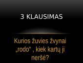 Mokytojų dienos viktorina 12 puslapis