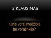 Mokytojų dienos viktorina 5 puslapis