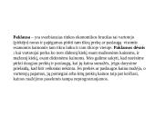 Paklausa pristatymas 2 puslapis