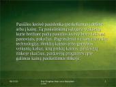 Ekonomika: pasiūla 4 puslapis