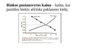 Pasiūla ir paklausa skaidrės 5 puslapis