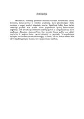 Tradicinių technologijų pritaikymas šiuolaikiniame namų ūkyje 2 puslapis