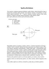Tradicinių technologijų pritaikymas šiuolaikiniame namų ūkyje 9 puslapis